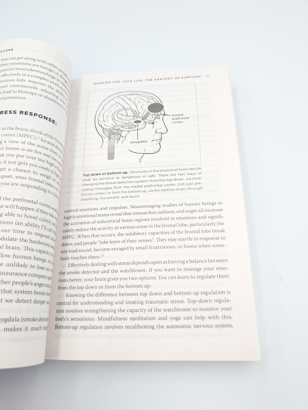The Body Keeps the Score Paperback - Picture 4 of 8